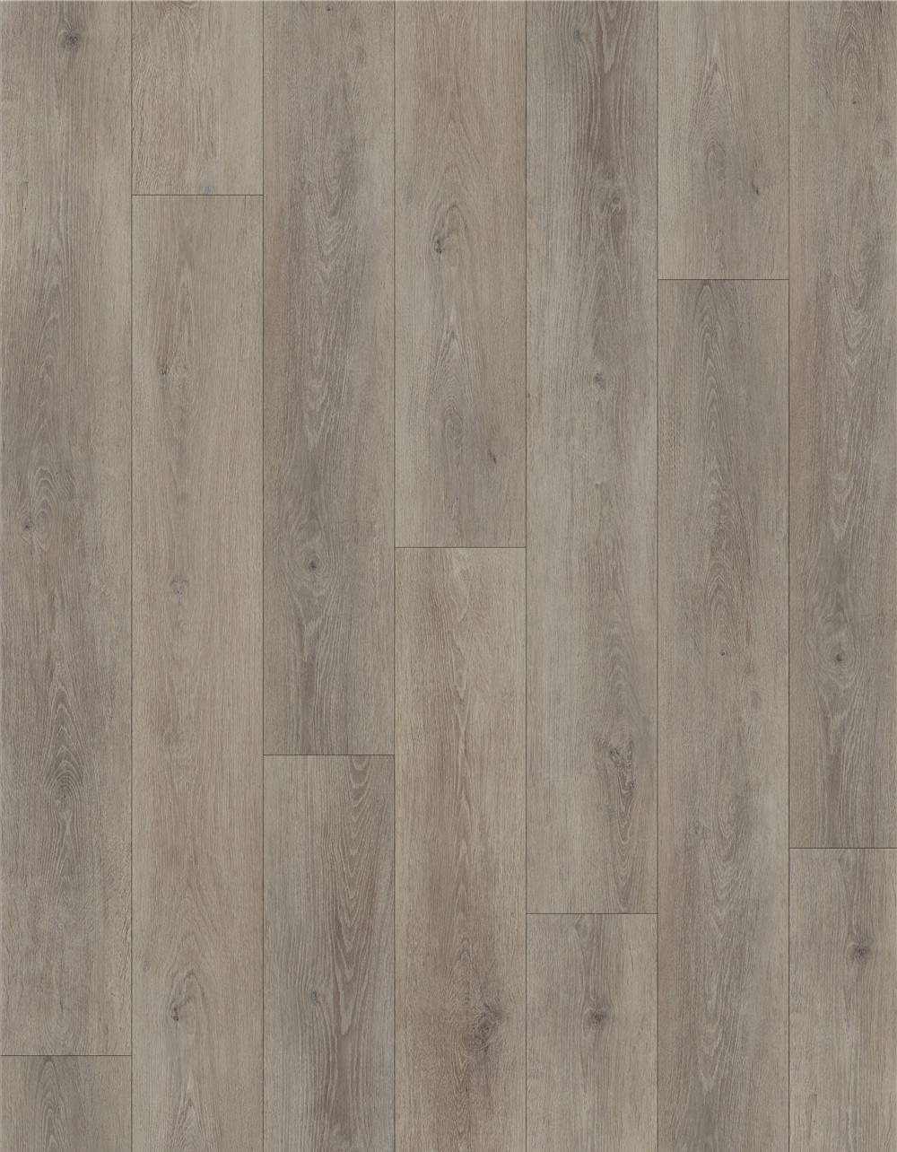 Spc Rigid Core Premium Flooring Planks - Proluxe Floor