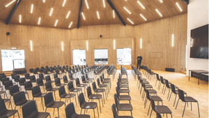 Application des panneaux de mur à lattes acoustiques (1)