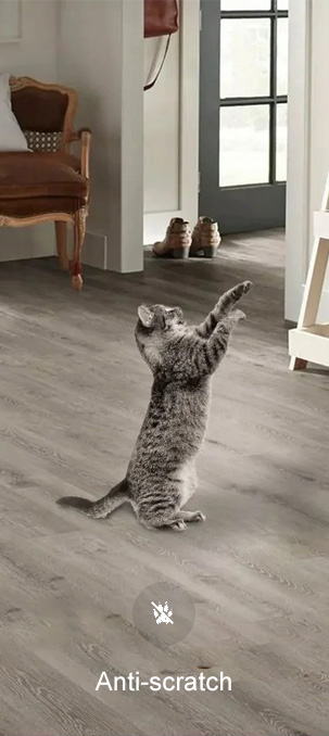 Anti-scratch