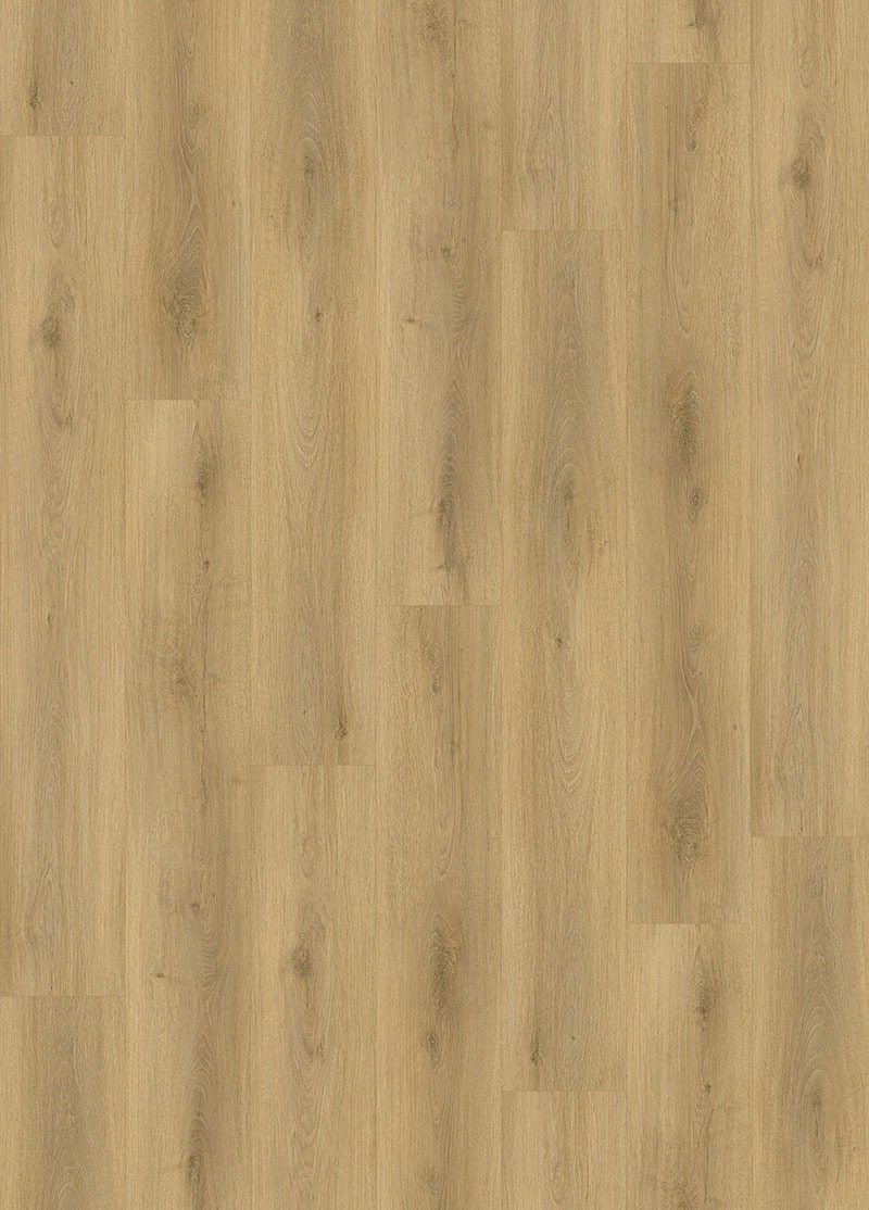 0E6638B1D5F728C1735A0245ecCDDA49