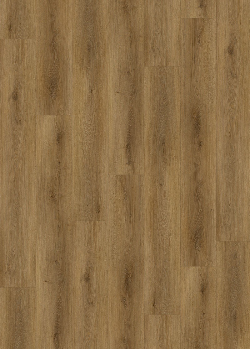E97A844B2E2C1CBCB3FD5ABDFB3B05BF