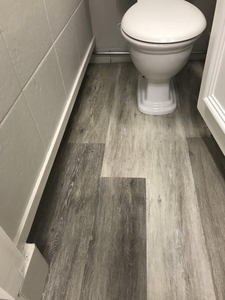 Foreign public toilet facilities2