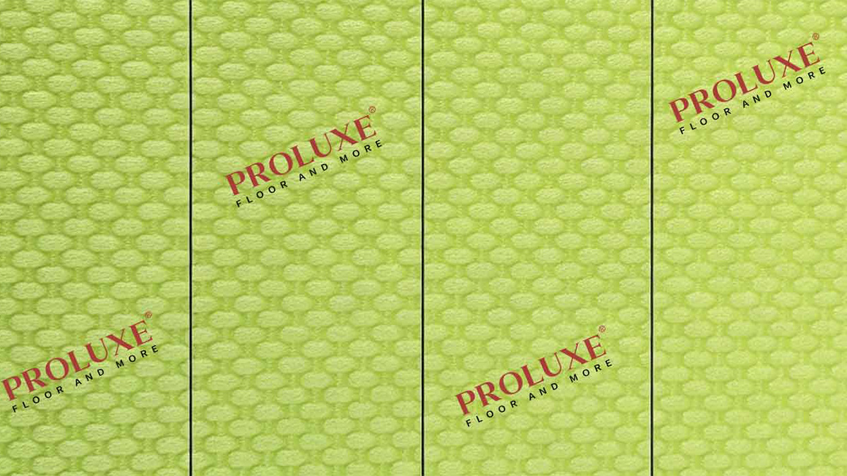 PROLUXE-OME-Structural-Design-Options01